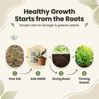 Anrib Pot Media Conditioner 5