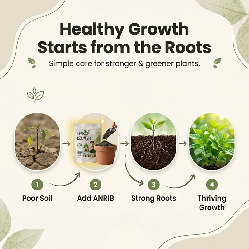 Anrib Pot Media Conditioner 5